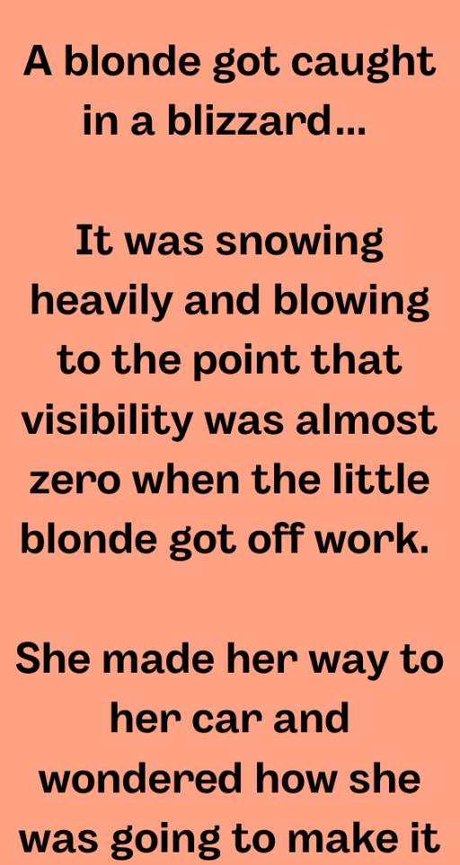 A Blonde Got Caught In A Blizzard