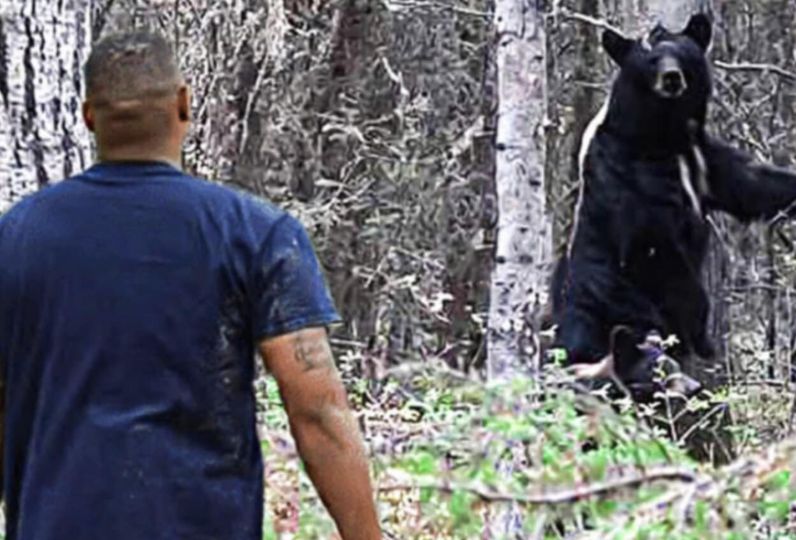 Mother Bear asks man for help, and then this happens…
